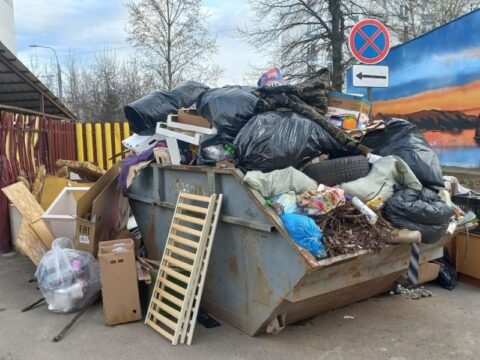 На территории Электростали обнаружено рекордное количество несанкционированных мусорных навалов Новости Электростали 